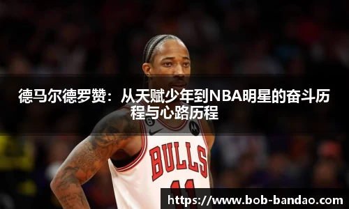 BOB半岛