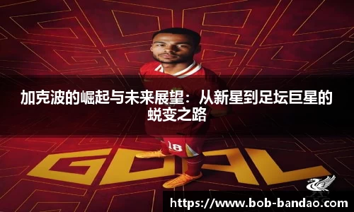 BOB半岛官网